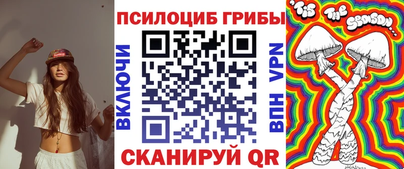 Псилоцибиновые грибы прущие грибы  Зима 