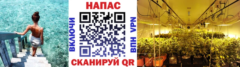 мориарти клад  Зима  Канабис гибрид  купить  сайты 